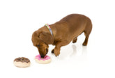 Donuts  Dog Toy - SPECIAL OFFER!